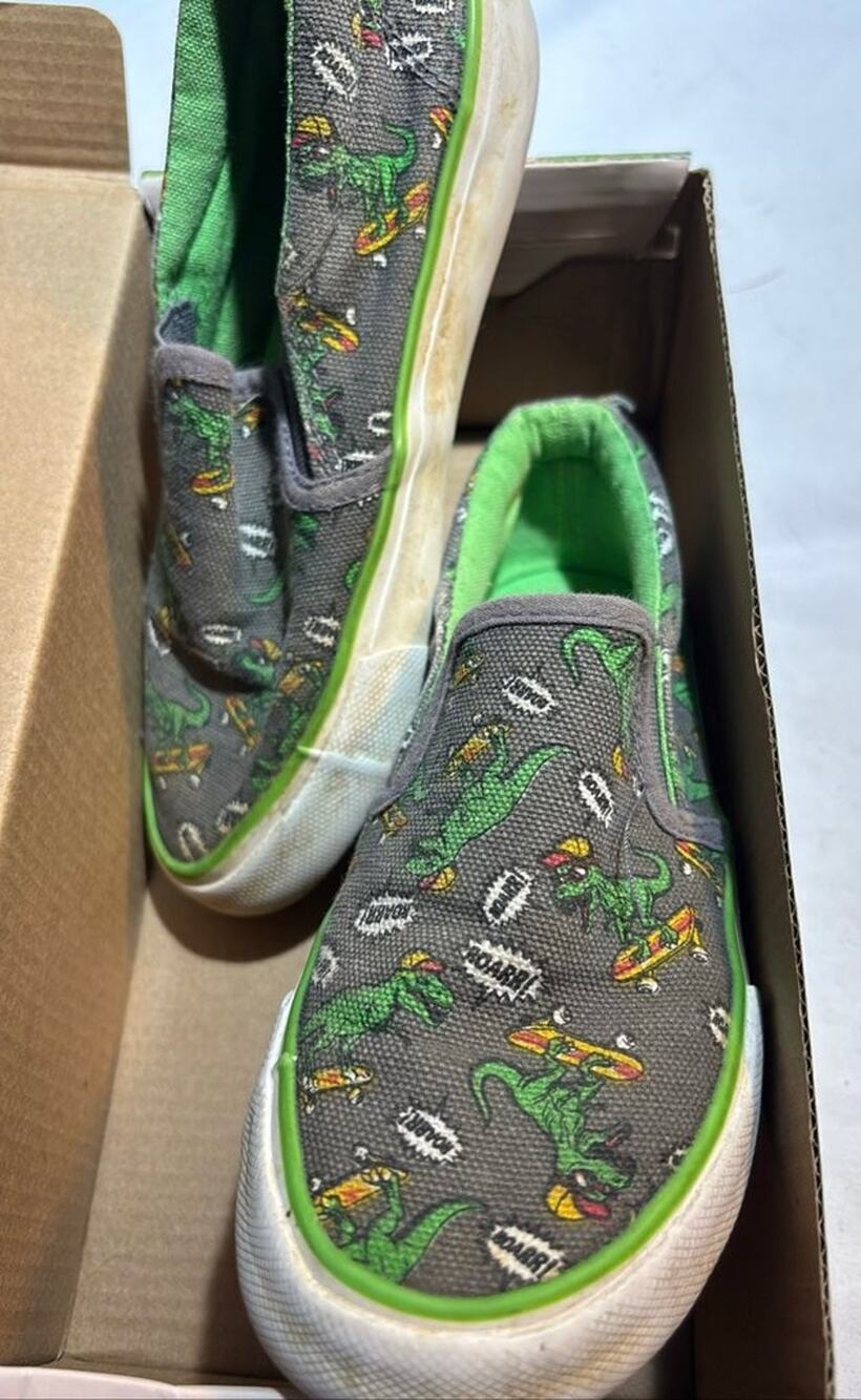 Lily & Dan Boys' Dinosaur Print Memory Foam Canvas Shoes